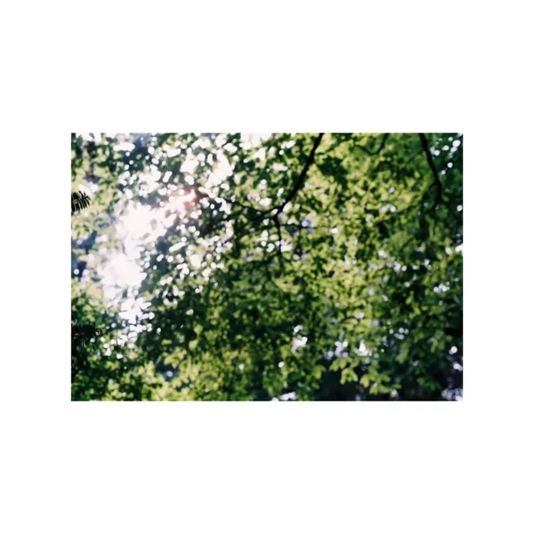 greenface「Light Through」アートワーク