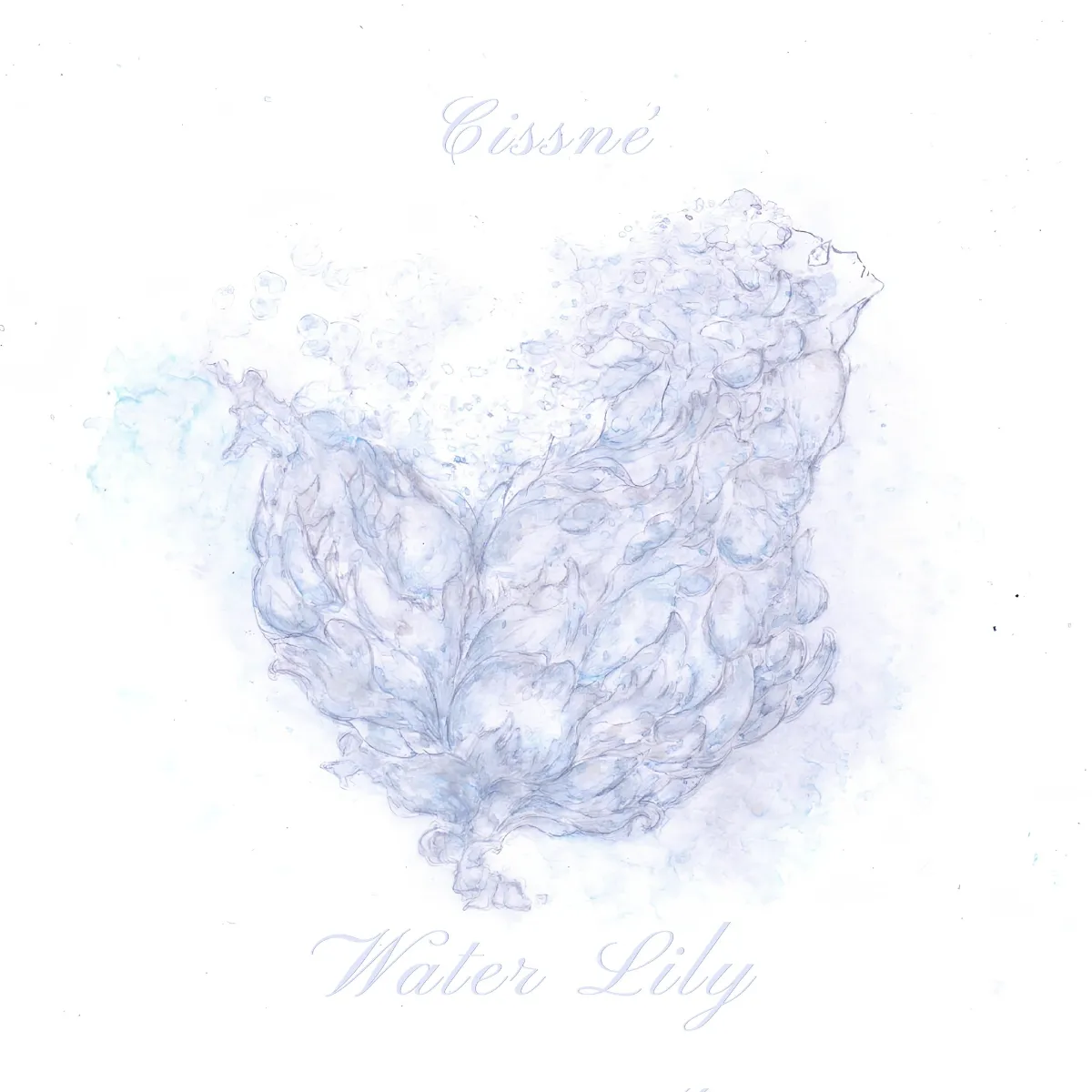 Cissné「Water Lily」アートワーク